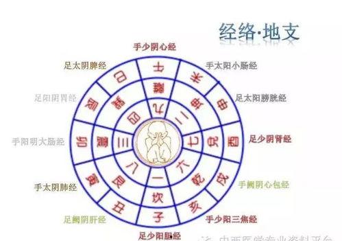 如何用八卦算学业,揭秘学业发展的神秘路径