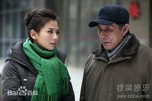 电视剧老有所依演员表,实力派演员齐聚，演绎温馨养老故事