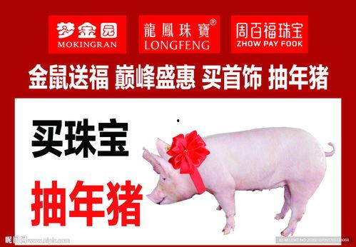 年猪照片,团圆时刻的幸福写照