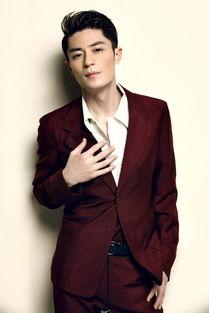 明星图片王凯,光影交织下的魅力演绎