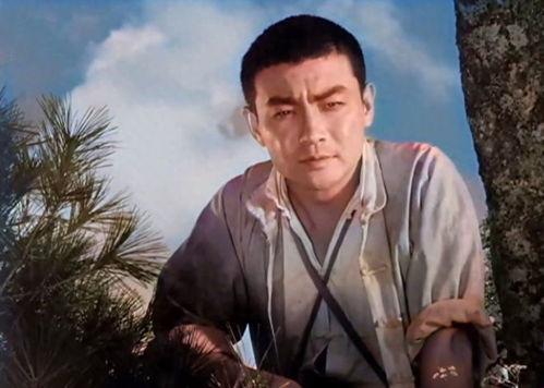 地雷战老电影演员表,重温红色岁月的英勇传奇